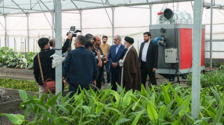 بهرهبرداری از 350 گلخانه روستایی با مشارکت مردم
