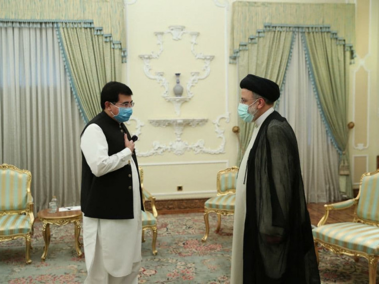 تصاویر دیدار رئیس مجلس سنای پاکستان با رئیس جمهور