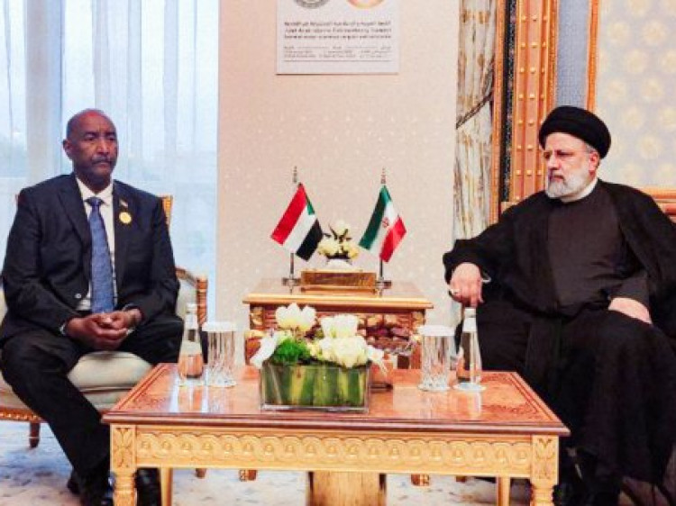 دیدار رئیس شورای حکومتی سودان با رئیس جمهور