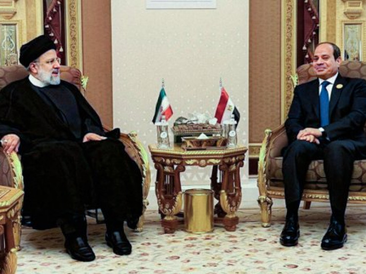 دیدار روسای جمهور ایران و مصر