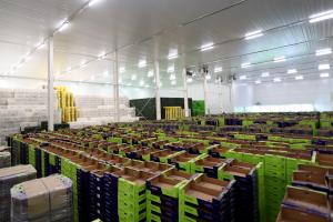 تصاویر بازدید از پایانه صادرات محصولات کشاورزی روماک