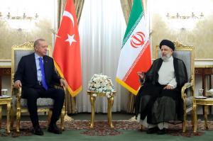 تصاویر دیدار و گفتگوی دوجانبه روسای جمهور ایران و ترکیه