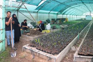 بهره‌برداری از 350 گلخانه روستایی در استان مازندران