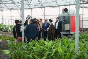 بهره‌برداری از 350 گلخانه روستایی در استان مازندران